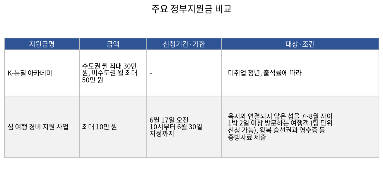 주요 정부지원금 비교