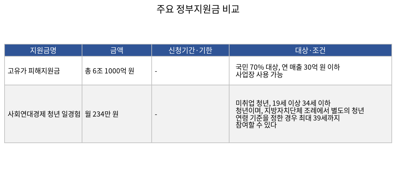 주요 정부지원금 비교