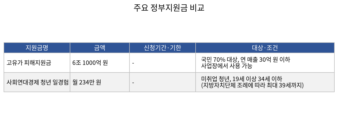 주요 정부지원금 비교