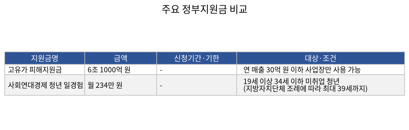 주요 정부지원금 비교