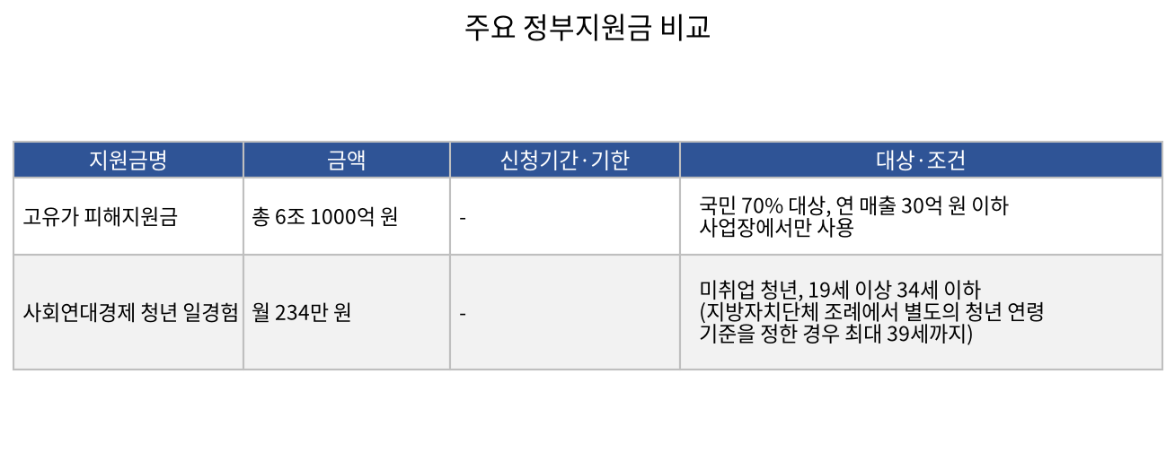 주요 정부지원금 비교